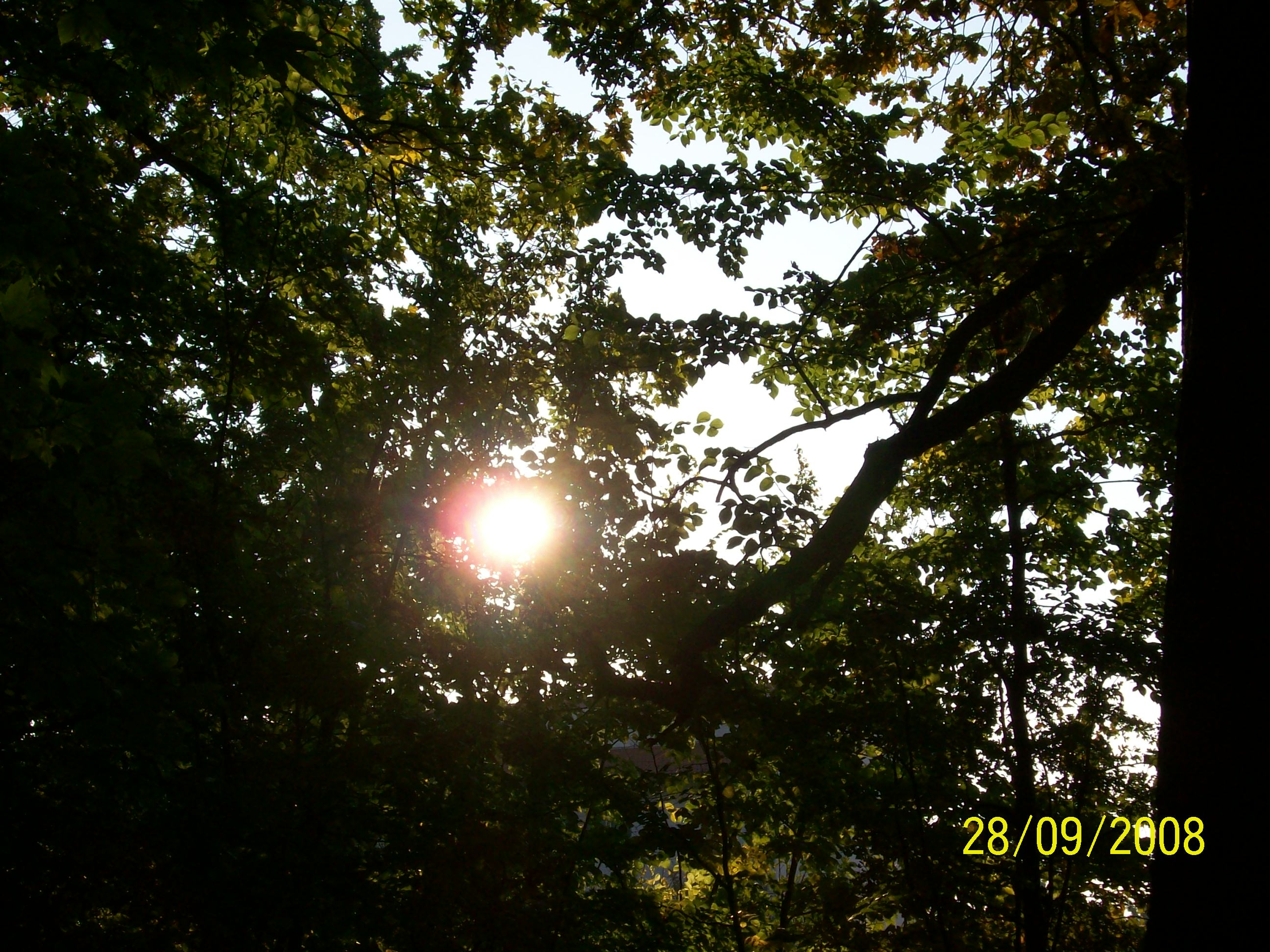 Durchblick Weimar