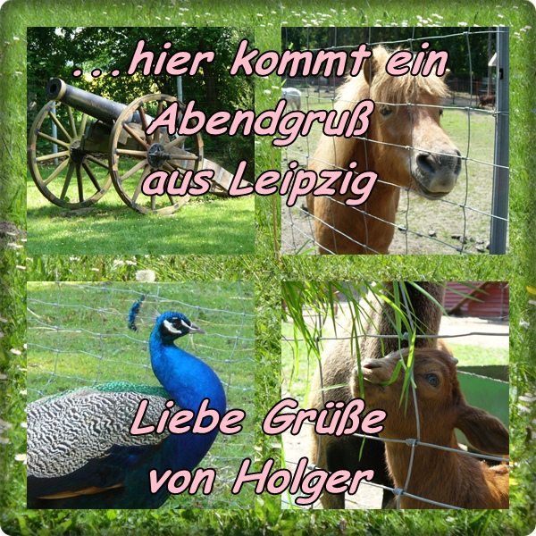 Kostenlos