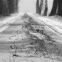 Walk the Line